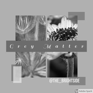 🤍🤍🤍🤍🤍🤍